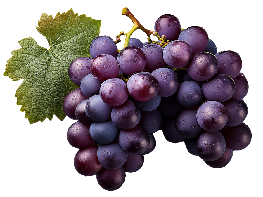 cabernet-sauvignon