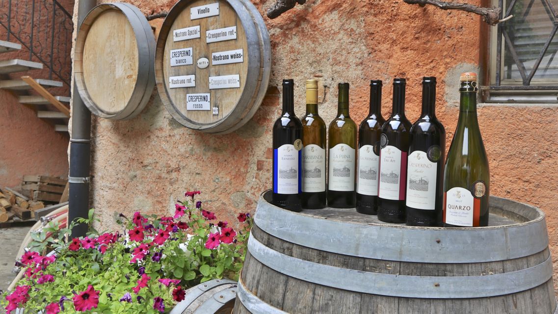 Acquista i Nostri Vini