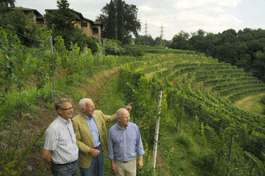 Colline di Lugano