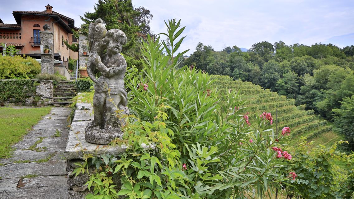 Vezia's Rolling Hills