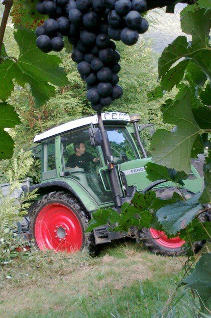 Colline ripide