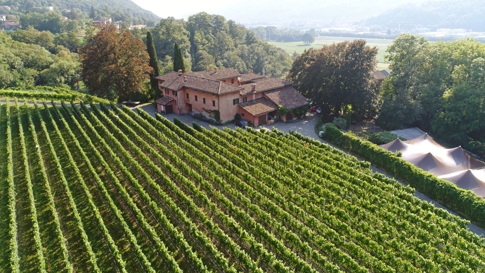 tenuta-top-dji