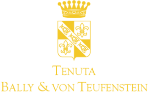 Tenuta Bally Shop
